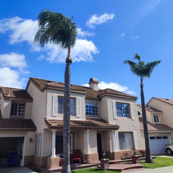Orange County Tree Services - After - Tree Services Near Me Orange County Tree Services - After - Tree Services Near Me