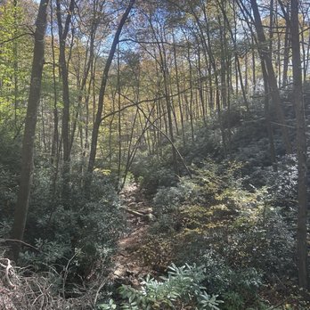 Twin Falls Resort State Park - Mountain Creek - Resorts Near Me