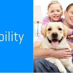 PetsWorld - Puppy training pads  in bulk quantities at heavily discounted prices.