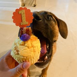 Pupcake