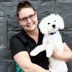 Animal Hospital of Cambridge - Alexis - Groomer 4+ years experience. 226-499-1140
