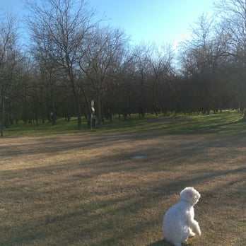 Tails 'N Trails - Dog Parks Near Me - Arlington, Texas Tails 'N Trails - Dog Parks Near Me - Arlington, Texas