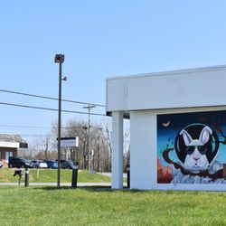 Space Rabbit Coffee - Space Rabbit Coffee