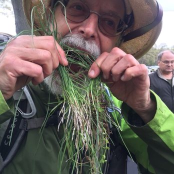 Steve Brill Tour - Wildman Steve Brill clowning around with Field Garlic 5-6-2018 - Tours Near Me - New Rochelle, New York