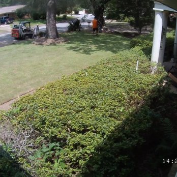 Bryan's Lawn Maintenance - During the sod laying process - Landscaping Near Me - Pensacola, Florida Bryan's Lawn Maintenance - During the sod laying process - Landscaping Near Me - Pensacola, Florida