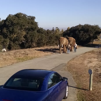 Vision Quest Ranch - Breakfast is delivered! - Bed & Breakfast Near Me - Salinas, California Vision Quest Ranch - Breakfast is delivered! - Bed & Breakfast Near Me - Salinas, California
