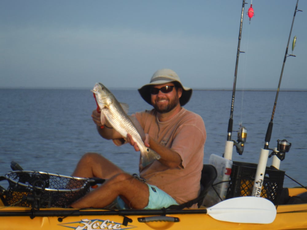 SCALES AND TAILS KAYAK CHARTERS Updated July 2024 78 Photos 1811