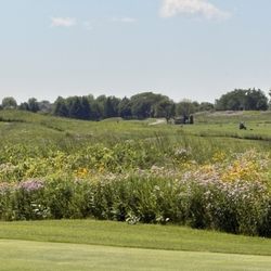 Chaska Town Course