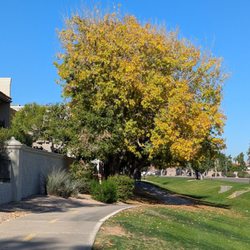 Indian Bend Wash Greenbelt