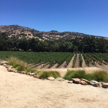 Stag's Leap Wine Cellars - Wine Tours Near Me - Napa, California Stag's Leap Wine Cellars - Wine Tours Near Me - Napa, California