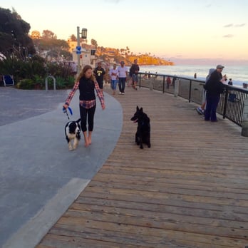 SoCal Dog Training - Pet Training Near Me - Newport Beach, California SoCal Dog Training - Pet Training Near Me - Newport Beach, California