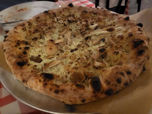 Nighthawk Napoletana by null