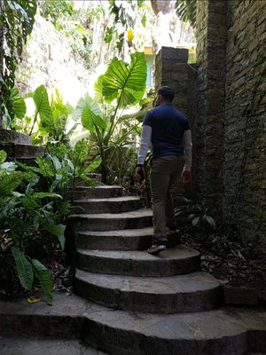 Las Pozas by null