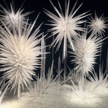 Chihuly Garden and Glass - Art Museums Near Me - Seattle, Washington Chihuly Garden and Glass - Art Museums Near Me - Seattle, Washington