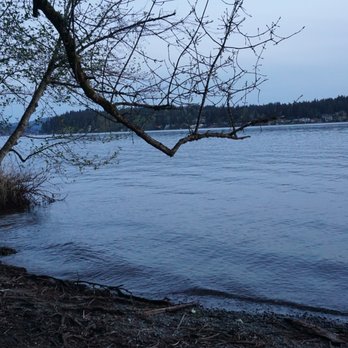 Sammamish Landing - This photo was taken from the well-placed log that we sat on for a while - Parks Near Me - Sammamish, Washington Sammamish Landing - This photo was taken from the well-placed log that we sat on for a while - Parks Near Me - Sammamish, Washington