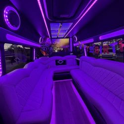 Luxe Limos Orl - Interior view 3
