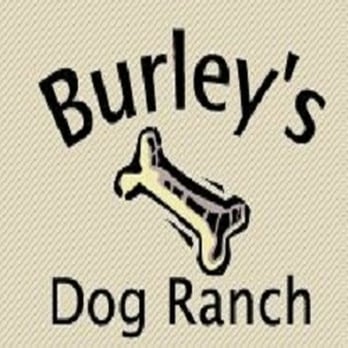 Burley's Dog Ranch - Pet Sitting Near Me - Portland, Oregon Burley's Dog Ranch - Pet Sitting Near Me - Portland, Oregon