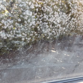 North County Window Tinting - Hard to photograph but I assume all those scuffs are from a rock stuck to the squeegee.. Clarity is terrible out the window, light scatters - Car Stereo Installation Near Me - Vista, California North County Window Tinting - Hard to photograph but I assume all those scuffs are from a rock stuck to the squeegee.. Clarity is terrible out the window, light scatters - Car Stereo Installation Near Me - Vista, California
