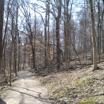 Chestnut Ridge Metro Park - Forest area. - Parks Near Me - Carroll, Ohio Chestnut Ridge Metro Park - Forest area. - Parks Near Me - Carroll, Ohio