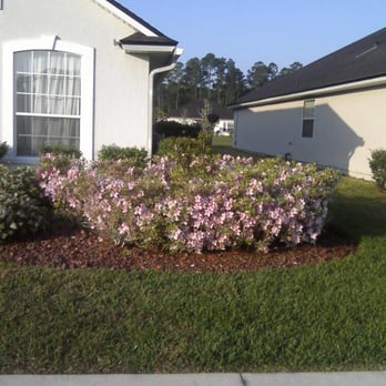 Michael's Lawn Care - Spring has sprung!!!!!!! - Landscaping Near Me - St. Augustine, Florida Michael's Lawn Care - Spring has sprung!!!!!!! - Landscaping Near Me - St. Augustine, Florida