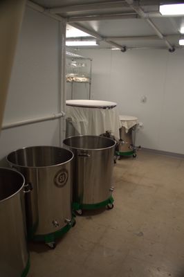 New Mexico Ferments by null