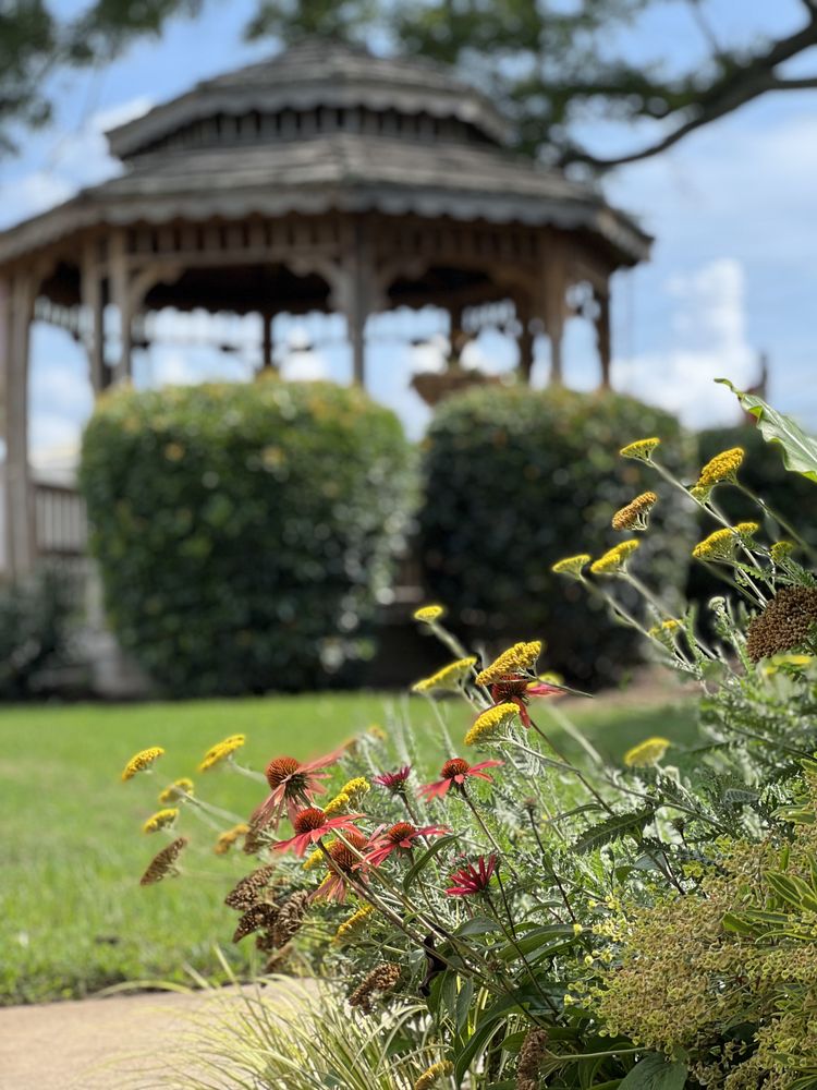 BUDS 40 Photos 16 Forest Pkwy, Forest Park, Coffee & Tea