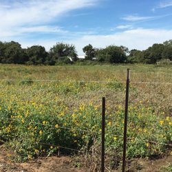 Texas Star RV Park