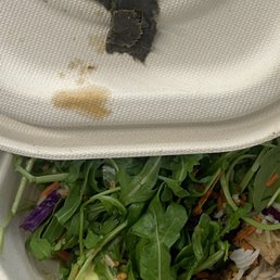 Cardboard in the salad Cardboard in the salad