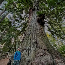 Methuselah Tree - Me admiring the beauty of her