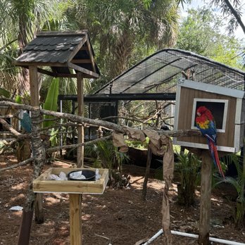 Brevard Zoo - Zoos Near Me - Melbourne, Florida