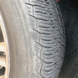 Tasmanian Tire