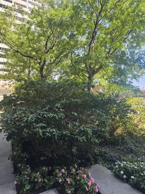 Elevated Acre by null