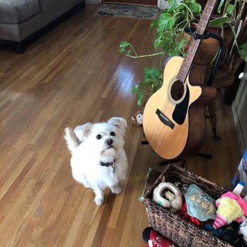 Lara's Doggy in the Window - Pet Groomers Near Me - Long Beach, California