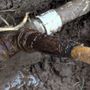 Photo of Honey Do Plumbing & Drain Service