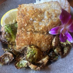 Macadamia Crusted Fresh Catch Macadamia Crusted Fresh Catch