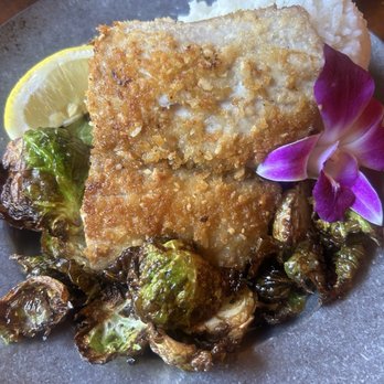 Stonefish Grill - Macadamia Crusted Fresh Catch - Seafood Near Me - Haleiwa, Hawaii Stonefish Grill - Macadamia Crusted Fresh Catch - Seafood Near Me - Haleiwa, Hawaii
