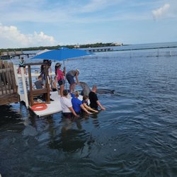 Dolphin Research Center 236 Photos 153 Reviews 58901 Overseas Hwy