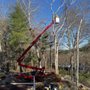 Photo of Andy's Tree Service