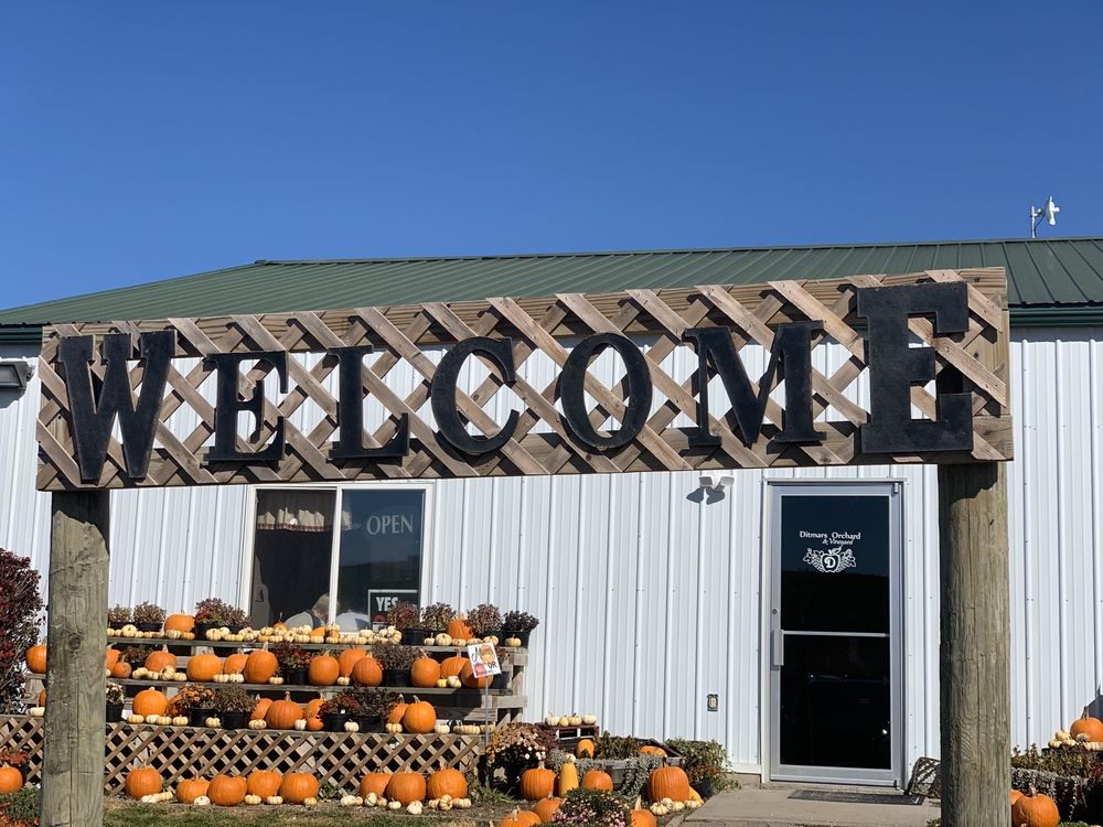 DITMARS ORCHARD & VINEYARD 42 Photos & 23 Reviews 19475 225th St