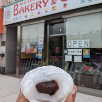 Red Lotus Bakery & Cafe - Some of the softest and freshest red bean mochi I've ever had! Delicious spot @thatfoodood - Bakeries Near Me - Douglaston, New York Red Lotus Bakery & Cafe - Some of the softest and freshest red bean mochi I've ever had! Delicious spot @thatfoodood - Bakeries Near Me - Douglaston, New York