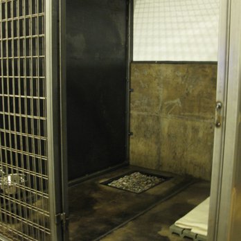 Dog Tired - Kennel showing natural substrate drainage system. - Pet Sitting Near Me