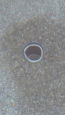 Sparkling Clear Pool Service