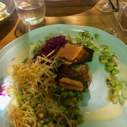 Salmon