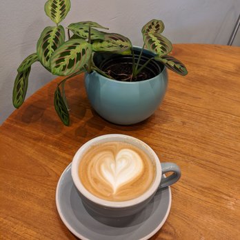 Bellden Cafe - Latte - Coffee & Tea Near Me - Bellevue, Washington