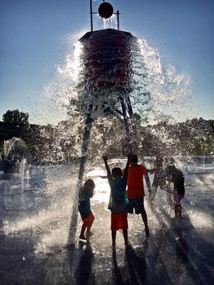 My Aquatic Services - Image 8