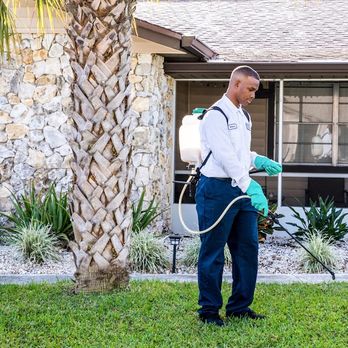 Dave's Pest Control - Pest Control Near Me - Lakeland, Florida Dave's Pest Control - Pest Control Near Me - Lakeland, Florida