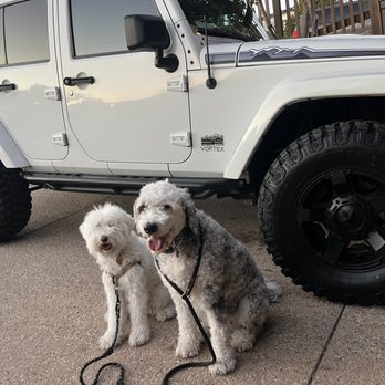 Aaron Ford of Escondido - Sheep-a-doodle approved vehicle. - Auto Repair Near Me - Escondido, California Aaron Ford of Escondido - Sheep-a-doodle approved vehicle. - Auto Repair Near Me - Escondido, California