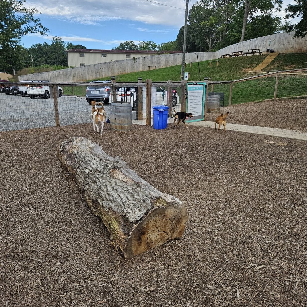 Wagbar - gate area - Dog Parks Near Me - Weaverville, North Carolina Wagbar - gate area - Dog Parks Near Me - Weaverville, North Carolina