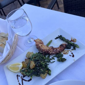 Salute - Italian Near Me - Sarasota, Florida Salute - Italian Near Me - Sarasota, Florida