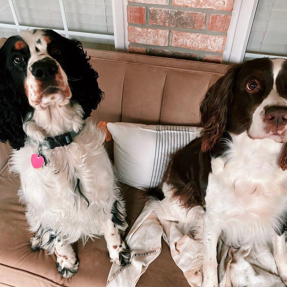 Margaux (1.5y) and Maisy (8.5y) Margaux (1.5y) and Maisy (8.5y)